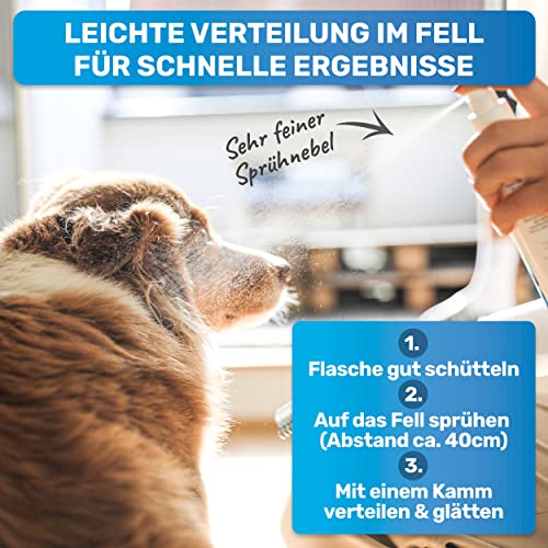 BluePet 200 ml Entfilzungsspray für Hunde & Katzen I Löst Verfilzungen & Verbessert Kämmbarkeit, Anti Filz Spray als Fellspray für Fellpflege, Glätten & Pflegen mit Aloe Vera, Shea-Butter & Jojobaöl