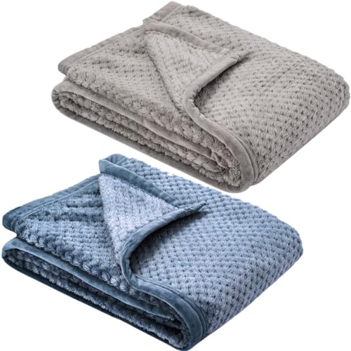 Image of Fuzzy Blanket or Fluffy Blanket for Baby, Soft Warm Cozy Coral Fleece Toddler, Infant or Newborn Receiving Blanket for Crib, Stroller, Travel, Decorative, 30”×40”, Flint Gray+Smoked Blue