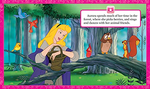 Disney Princess Cinderella, Belle, Ariel, and More!- Me Reader Electronic Reader and 8 Sound Book Library – PI Kids 3 51zxx cWR9L