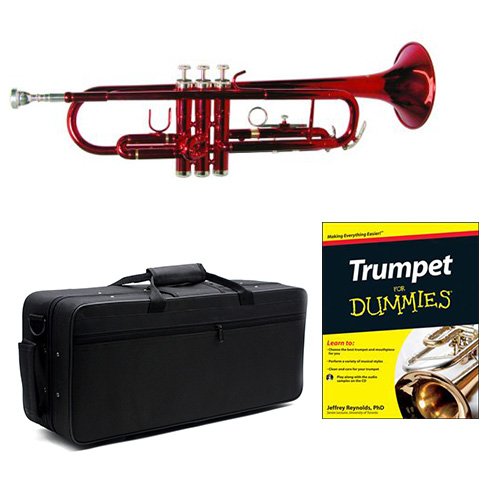 Best Classical Music For Dummies Music 2023 Where to Buy?