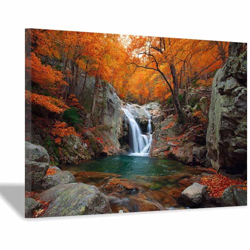 Poster nature cascade mangrove pour raviver un mur blanc et triste de salon ou chambre