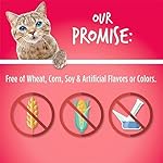 Fruitables Cat Crunchy Treats For Cats â Healthy Low Calorie Packed with Protein â Free of Wheat, Corn and Soy â Made with Real Salmon with Cranberry â 2.5 Ounces - Image 5
