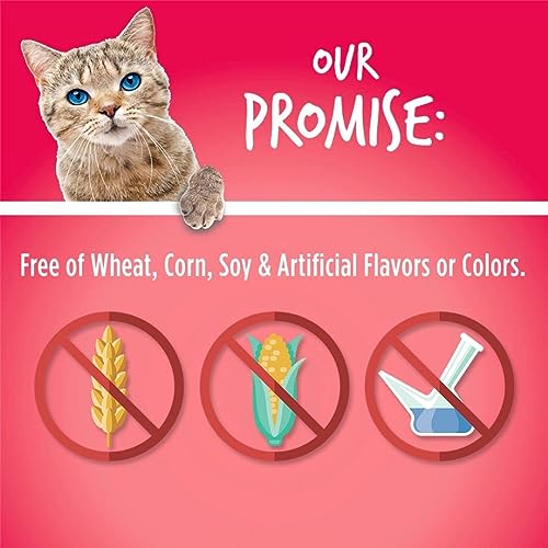 Fruitables-Cat-Crunchy-Treats-For-Cats--Healthy-Low-Calorie-Packed-with-Protein--Free-of-Wheat-Corn-and-Soy--Made-with-Real-Salmon-with-Cranberry--25-Ounces Fruitables Cat Crunchy Treats For Cats â Healthy Low Calorie Packed with Protein â Free of Wheat, Corn and Soy â Made with Real Salmon with Cranberry â 2.5 Ounces - Image 6