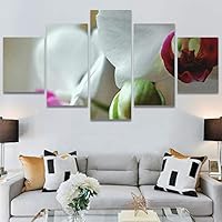 SIGNWIN 5 Panel Canvas Wall Art White Petal for Home Decorations Ready to Hang - 60