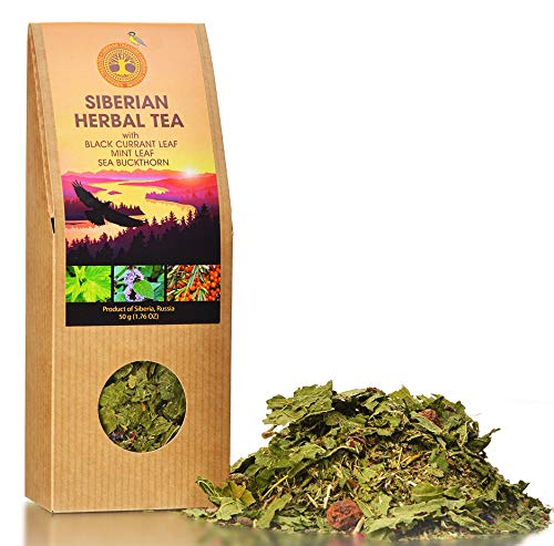 Té de hojas sueltas de hierbas siberianas con hoja de grosella negra, hoja de menta, espino cerval de mar (1.76 onzas)