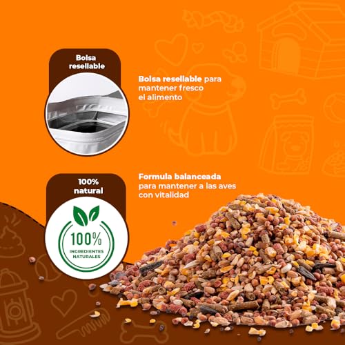 Tierra Y Fertilizantes, Sports Imagen adicional