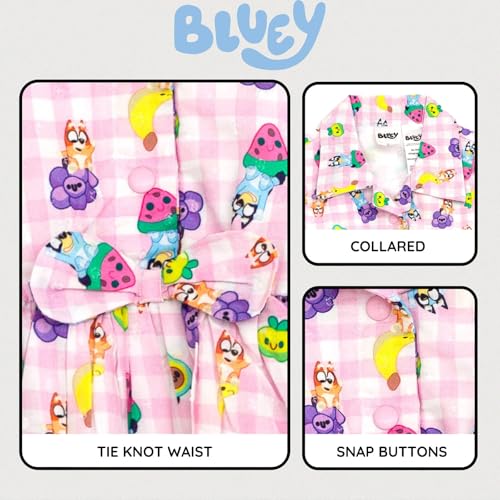 Bluey Girls Gingham Swiss Dot Dress Toddler to Big Kid Sizes (2T - 10-12)3