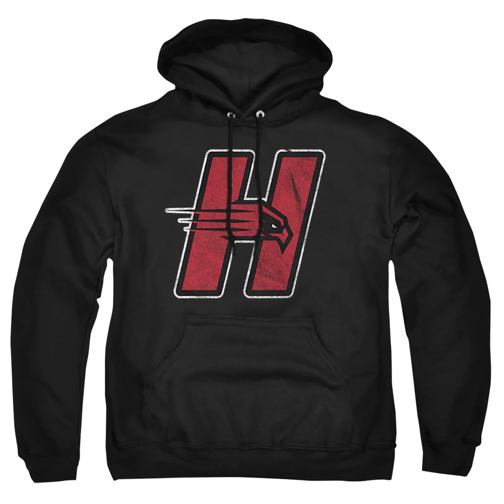 LOGOVISION Official Collegiate Distressed Primary Logo Adult Pullover Hoodie Collection — view 8