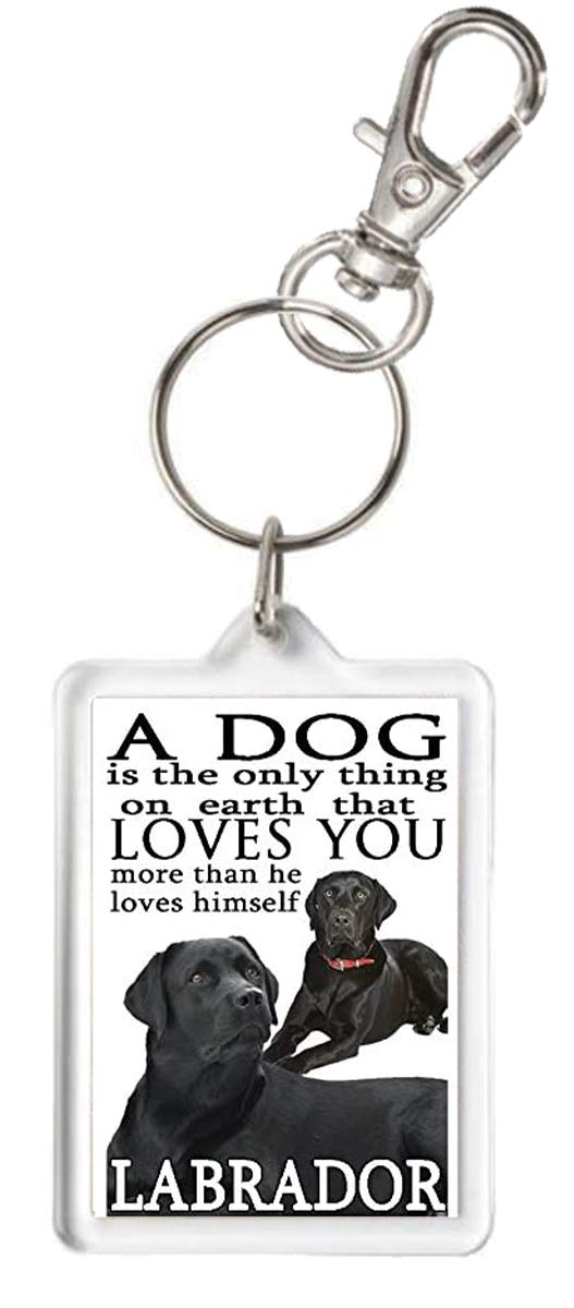 Kazmugz Multicolor Black Labrador Keyring, A Dog Loves You Exclusive Kazkeyz Design.