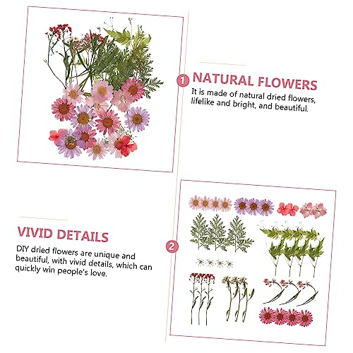 Flores secas naturales para manualidades DIY miniatura 7