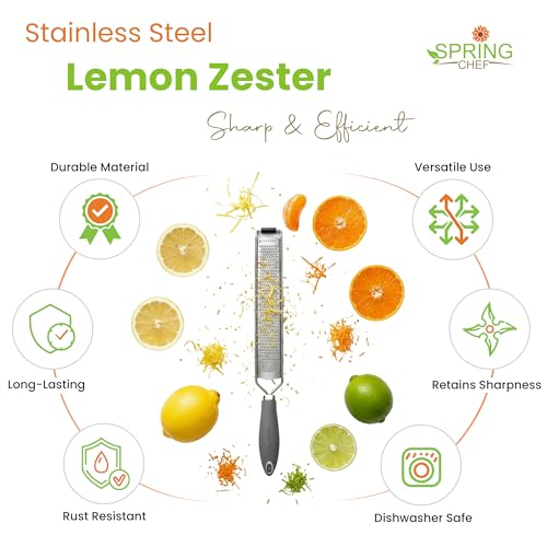 Image of Spring Chef Stainless Steel Lemon Zester - Garlic & Ginger Grater - Gray