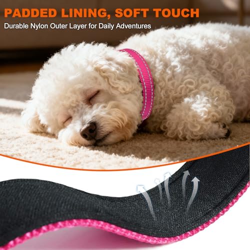Image of Taglory Reflective Dog Collar for Puppies, Gentle and Safe for Night Walks