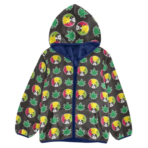 French Bulldog Afro Hair Girls Fleece Jacket Girls Fall Jacket Girls Zip Up Hoodie Girls Sherpa Jacket 2-10T