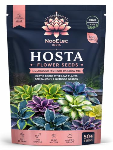 Image of Hosta Flower Seeds Multicolor Ornamental Plant Easy Grow