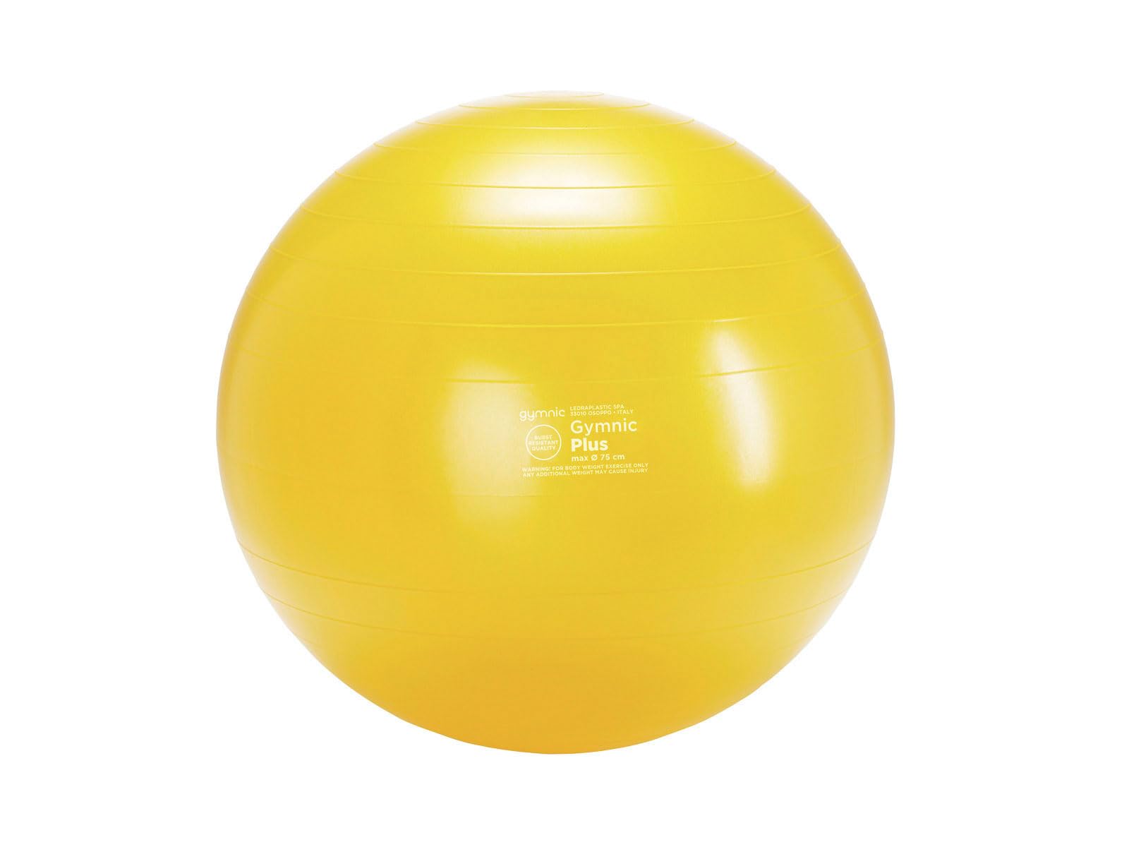 Plus Fit-Ball for physiotherapy, fitness and rehabilitation, ideal for postural exercises, dynamic sitting and functional training, for home and professional use