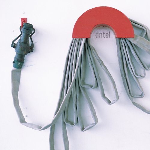 Dumb Luck [Audio CD] DNTEL
