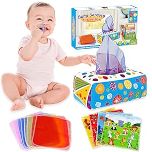 Aiduy Baby Toys 6 to 12 Months – Baby Tissue Box Toys Montessori Toys for Babies 6-12 Months Soft Crinkle Infant Sensory Toys for 1 Year Old Early Learning Toys Baby Boys Girls Gifts