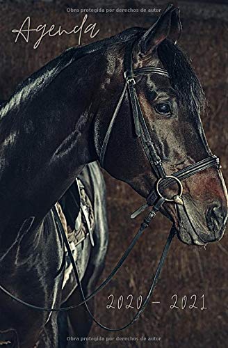 Stop basura: La verdad sobre reciclar Stop basura: La verdad sobre reciclar