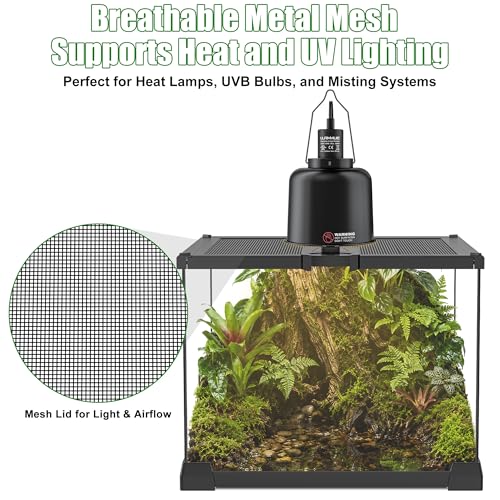 Image of Mini Glass Reptile Enclosure Terrarium 8 inchx8 inchx6 inch | Top-Opening Mesh Lid with Feeding Hole, Fully Assembled Tank for Tarantulas, Isopods,Froglets & Tiny Reptiles
