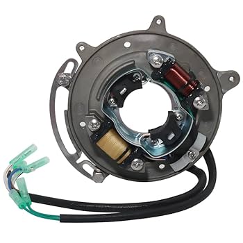 Amazon.com: Stator Coil 69P-85560-00 Stator Coil for Yamaha