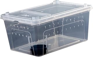 Mipcase 1 Conjunto Caixa De Alimentação De Répteis Terrário De Répteis Recipiente Transparente Incubadora De Criação De Gecko Caixa De Alimentação De Aranha Caixa De Alimentação De