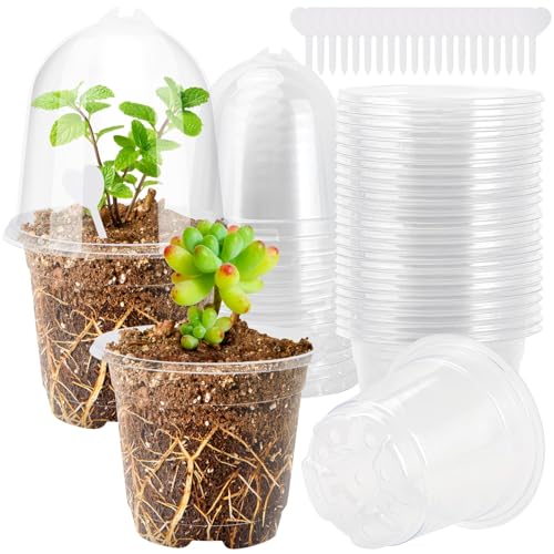 QINGHEC 20 Stück Anzuchttöpfe Transparente Pflanztöpfe Anzuchttopf Kleine Blumentöpfe Kunststoff 9cm, Pflanztopf Aufzuchttöpfe mit Deckel und Pflanzenschilder für Samen Setzlinge Sukkulenten