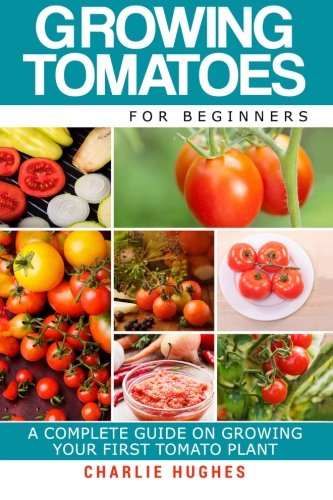 Growing Tomatoes for Beginners: A Complete Guide on Growing Your First Tomato Plant
