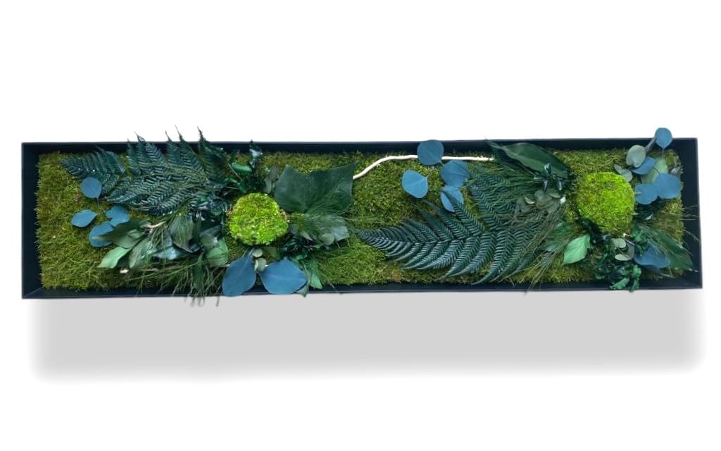Quadro vegetale stabilizzato "pattaya" XL 100 x 33 cm – Decorazione da parete naturale | Piante stabilizzate senza manutenzione | Made in France