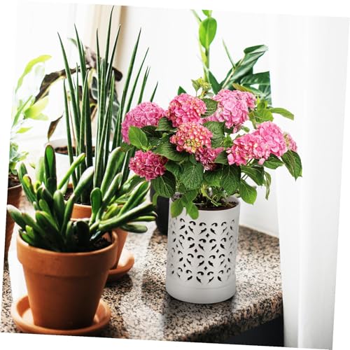 Pot orchidée céramique ajouré avec drainage efficace - 7