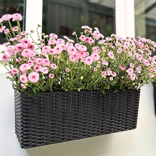 LaLaGreen Outdoor Wall Planters (20in, 4 Pack) Black Window Flower Boxes by LáLáGreen - Used condition - Image 9