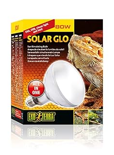 Exo Terra Solar Glo 80 W, ampoule lumière, UVB et chaleur
