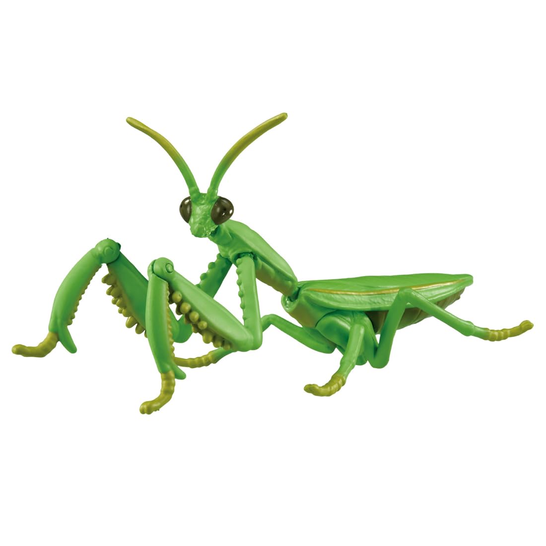 タカラトミー(TAKARA TOMY) アニア AL-32 オオカマキリ 動物 恐竜 おもちゃ 3歳以上