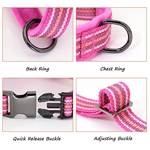 Imbracatura per Bulldog Francese No Pull Pet Imbracatura per Cani Imbottita in Nylon Imbracatura Riflettente per Cani di Piccola e Media Taglia