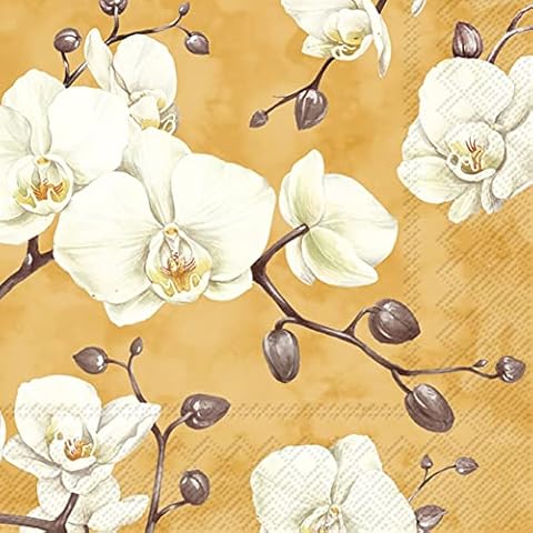 Boston International IHR 3-Ply Paper Napkins, 20-Count Lunch Size, Benita Orange Cover