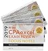 Wiley CPAexcel Exam Review 2019 Focus Notes: Complete Set