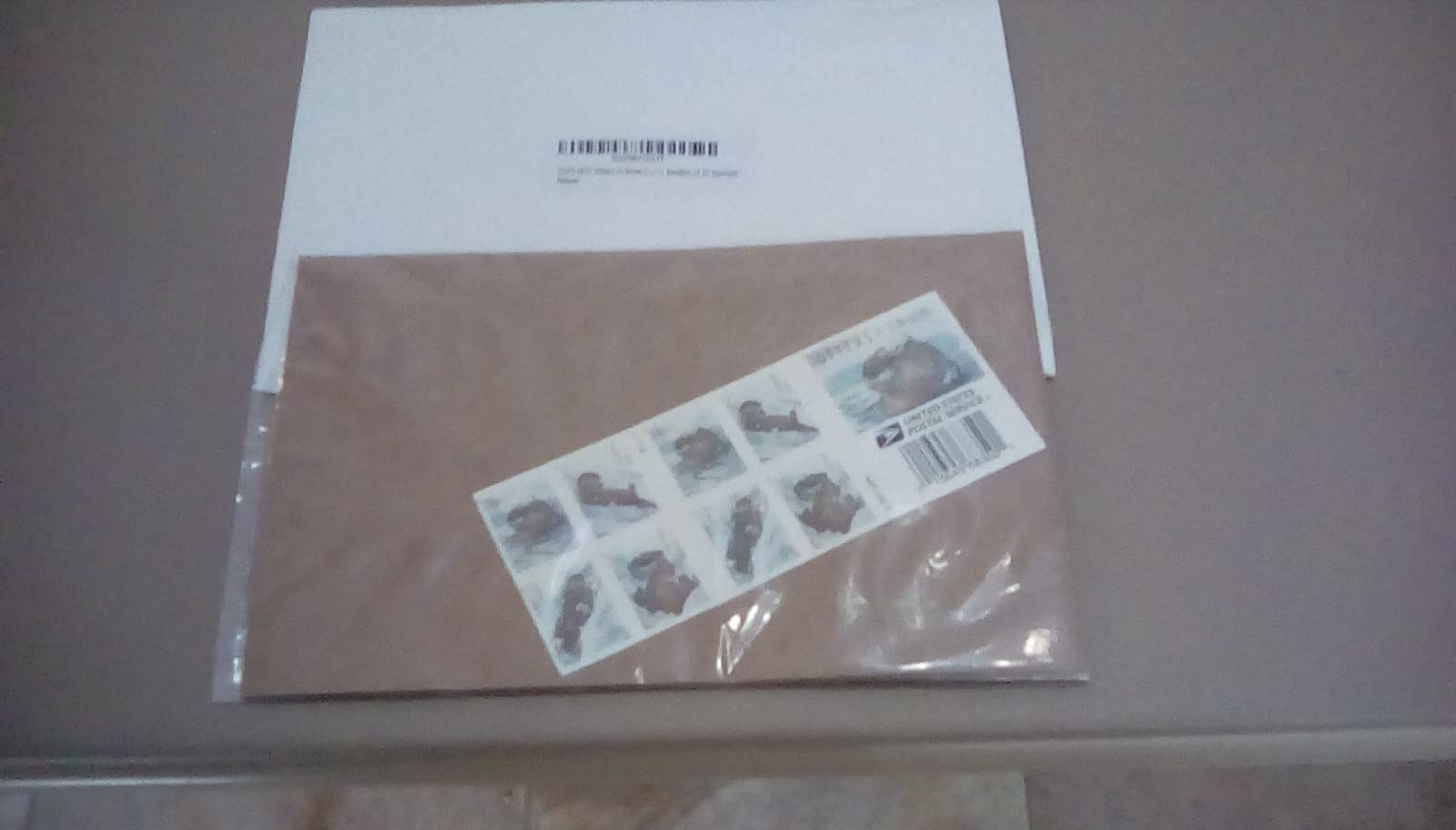 Amazon.com: USPS 2021 Otters in Snow Forever First Class Postage Stamps