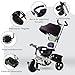HOMCOM Triciclo para Bebé 4 en 1 Bicicleta para +18 Meses con...