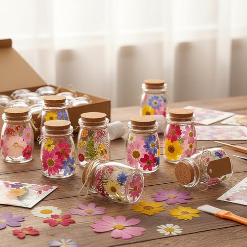 Set de 162 piezas de flores secas y frascos de vidrio con tapón miniatura 5