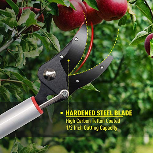 Hortem Long Reach Pruner Set, 35-Inch Hold Long Reach Cut Garden Tree Pruner with Flexible Hand Grip and Lightweight Bypass Pruning Shear, Gardening Shears for Lawn Care