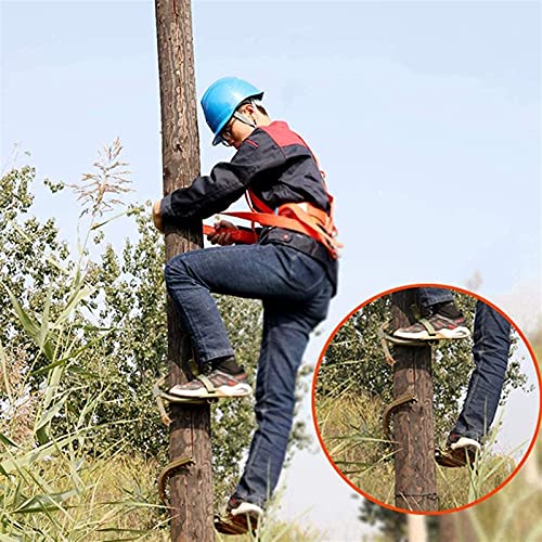 QAWSED Tree Climbing Artifact Tree Climbing Tool, Pole Climbing Spikes Hook Thicken Foot Buckle for Cutting Trees Cement Pole Tree Climbing Hook for Hunting 250 Model(13~25Cm)