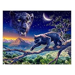 Sea World Diamond Painting Gem Borduurwerk Dolphin Diamond Tapestry Mozaïek Art Rhinestone Tekening Foto’s Puzzel…