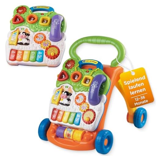 VTech Baby 80-077066 - Spiel und Laufwagen, EasyMail-Verpackung, bunt-grün/orange