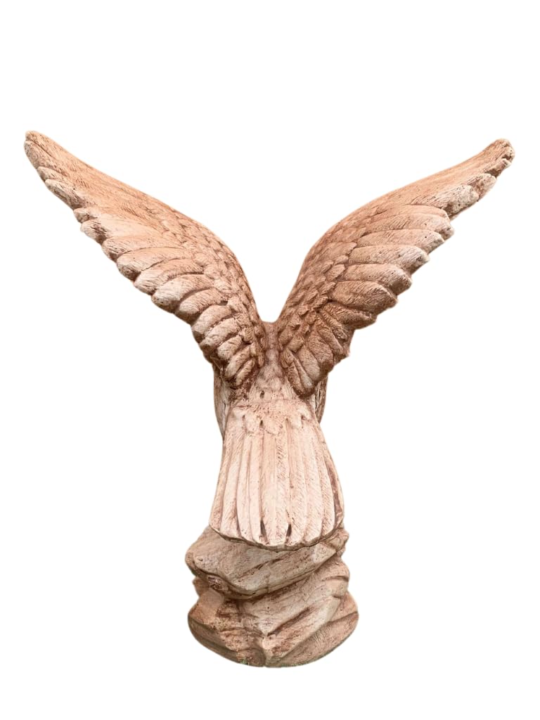Aquila Media (Marrone)