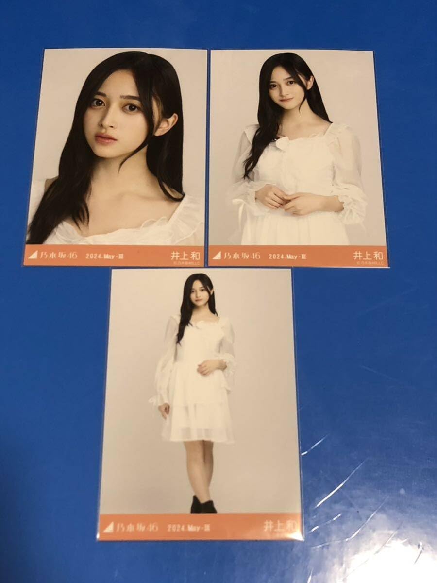 乃木坂46 井上和 コンプ バラ セット 乃木坂46 井上和 生写真 コンプ バラ セット - メルカリ