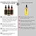 Rennora Extra-Strength Hair Growth Serum with Organic Herbs and Natural Vitamins, Rosemary Oil, Castor Oil, Black Seed, Amla, and Ginseng, No Chemicals, Formulated for Fast Hair Regrowth