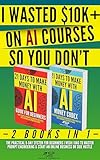 I WASTED $10K+ ON AI COURSES SO YOU DON'T: 2 Books in 1 — The Practical 9-Day System For Beginners I Wish I Had to Master Prompt Engineering & Start an Online Business or Side Hustle