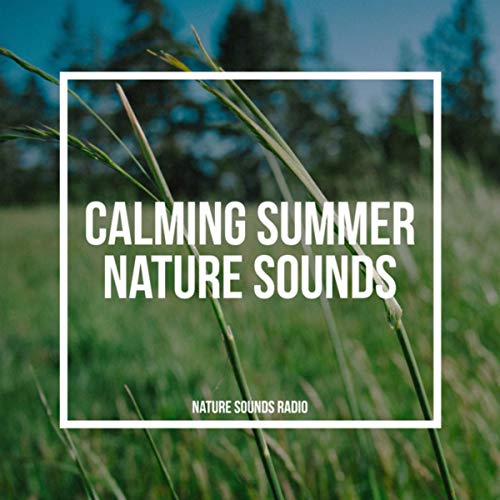 Calming Summer Nature Sounds von Nature Sounds Radio bei Amazon Music