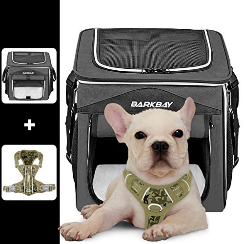Take Your Dog Everywhere with You The Benefits of the Barkbay Dog Bike Basket Carrier