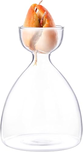 Miniatura 4 de Jarrón de iniciación de brotes de aguacate, maceta para interior de árbol de aguacate, kit de jarrón de cultivo de semillas de jardín de vidrio,