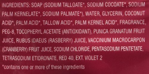 Dial Bar Soap Antioxidant Power Berries 4 Ounce 8 Bars